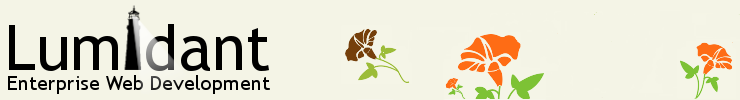 Lumidant Web Design and Development